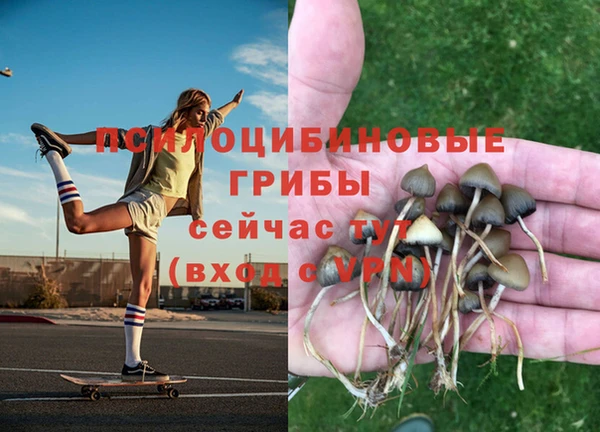меф Саяногорск