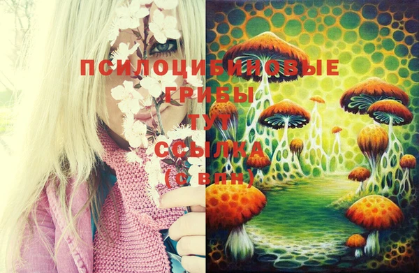 прущие крисы Алзамай